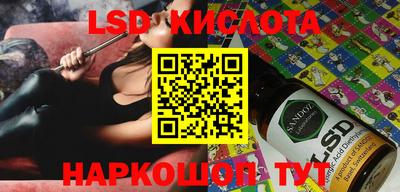 стаф Можга