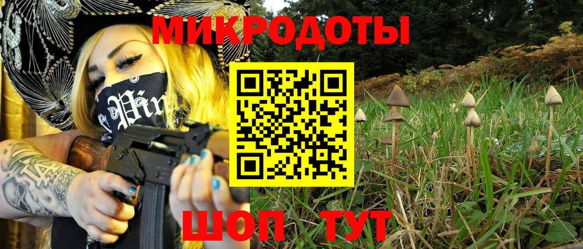 Сочи  Галлюциногенные грибы Cubensis  Вход с VPN 
